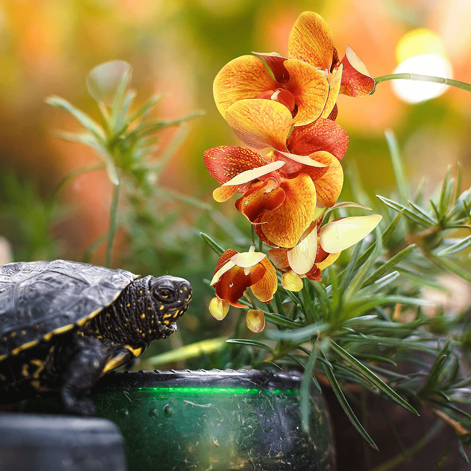 2 Pieces Artificial Phalaenopsis with Suction Cups Terrarium Plant Decoration Reptile Habitat Plant Decor for Hermit Crab Lizards Geckos Snake Reptile Animals & Pet Supplies > Pet Supplies > Reptile & Amphibian Supplies > Reptile & Amphibian Habitat Accessories Chuangdi   