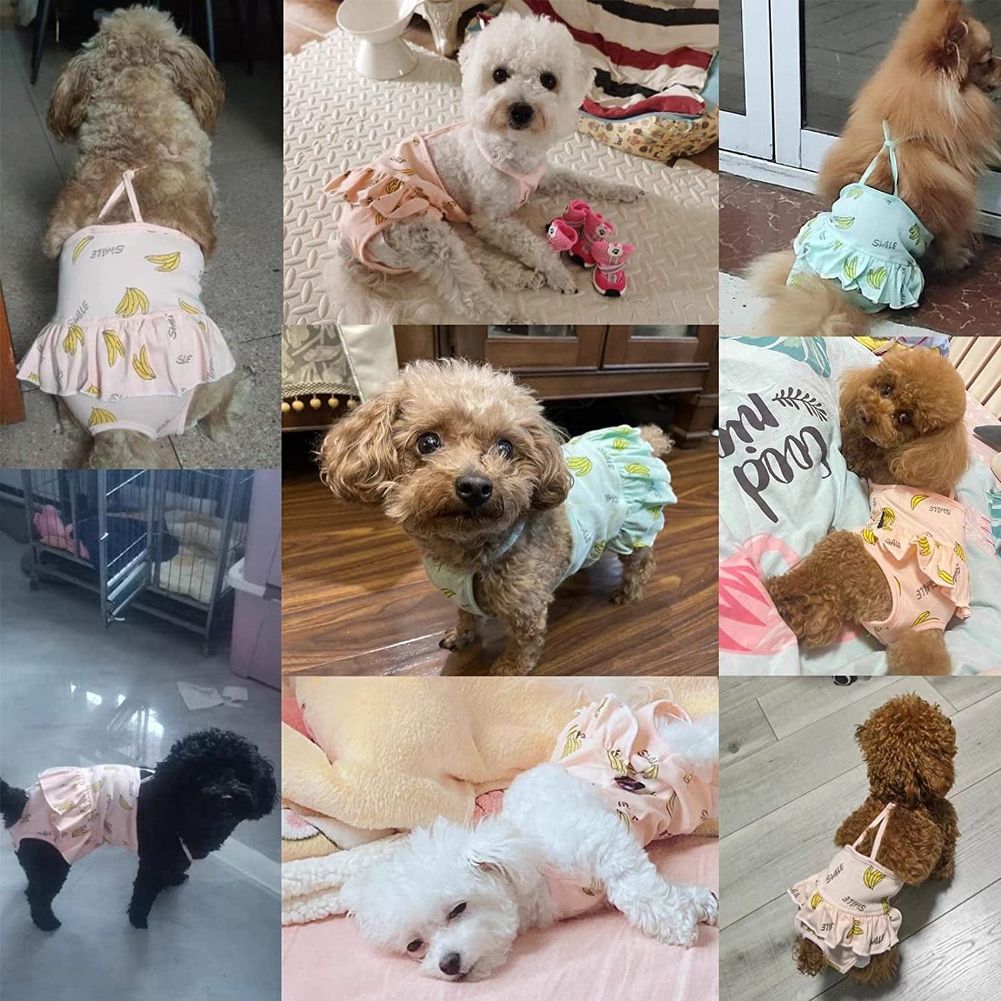 2 Pieces Dog Diaper with Suspender Washable Sanitary Pantie Reusable Puppy Sanitary Pants Cute Pet Underwear Diapers Jumpsuits for Small Female Dogs Girl in Heat Period (M-Waist 9.4-13.4IN (5-7LB)) Animals & Pet Supplies > Pet Supplies > Dog Supplies > Dog Apparel LINDUOAH   