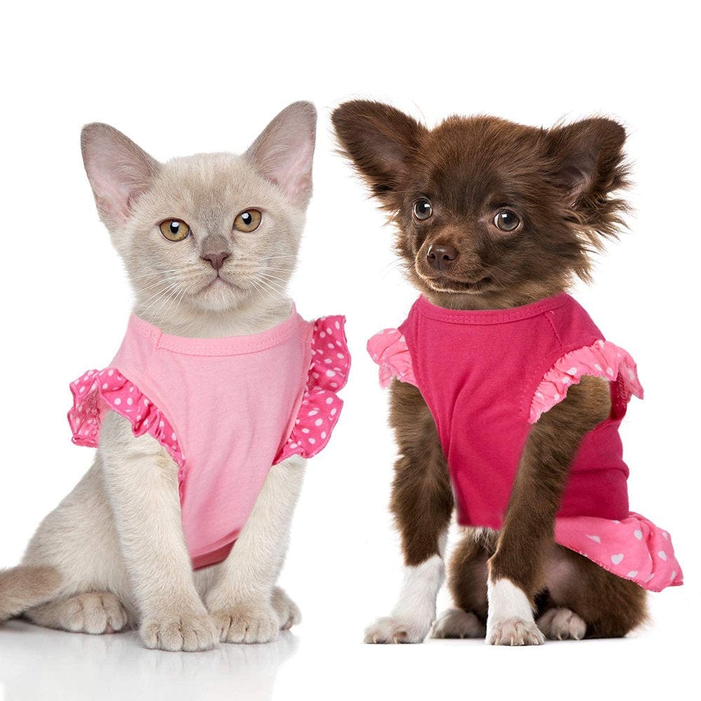 2 Pieces Dog Dresses for Small Dogs Cute Girl Female Dog Clothes Puppy Shirt Skirt Doggie Dresses Pet Summer Clothes Apparel for Dogs and Cats(Xs) Animals & Pet Supplies > Pet Supplies > Cat Supplies > Cat Apparel Powerdelux   