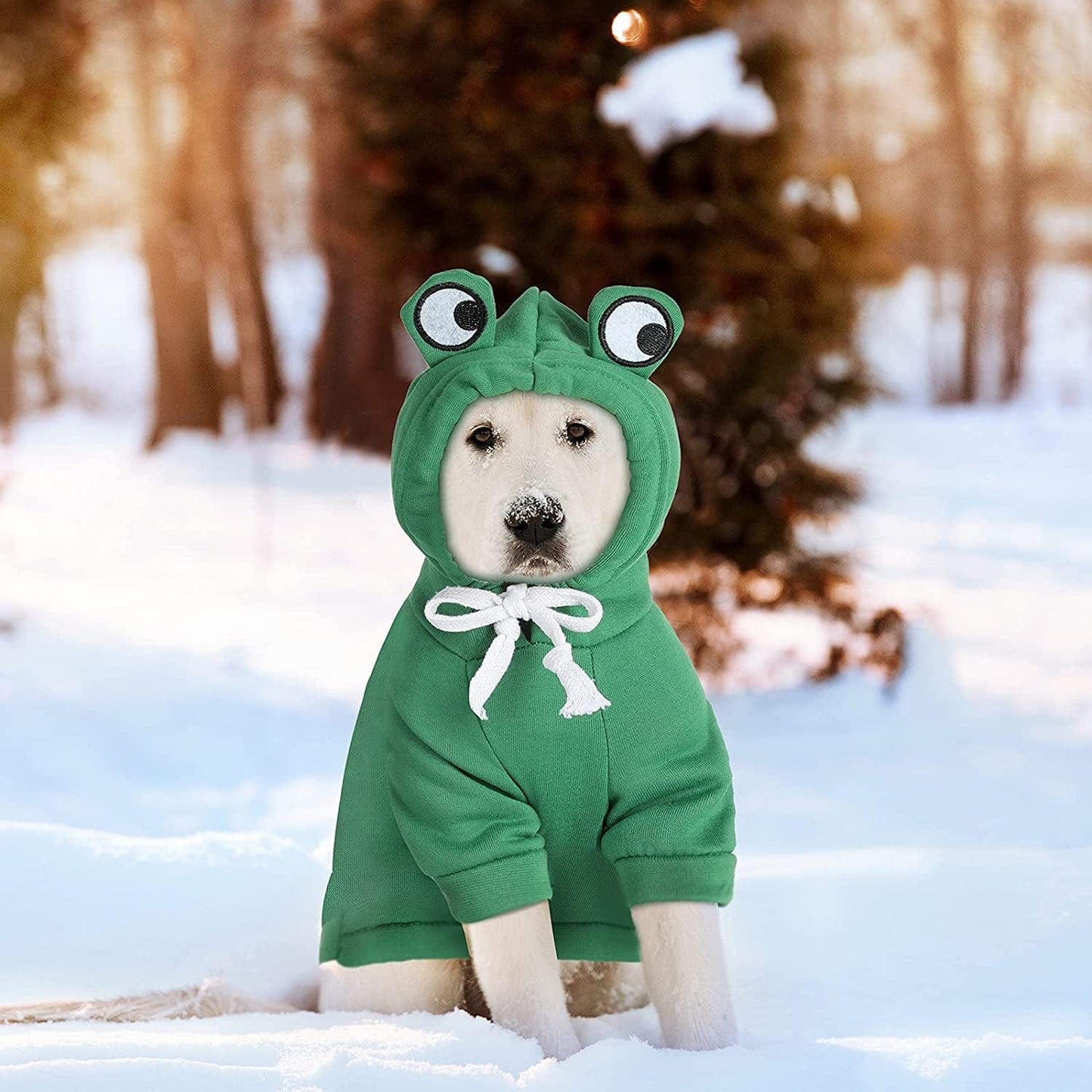 2 Pieces Fruit Dog Hoodie Clothes,Cute Dog Costume Warm Dog Sweater Cold Weather Sweatshirt Pet Coat for Puppy Small Medium Dogs Cats (Frog Style,Small) Animals & Pet Supplies > Pet Supplies > Dog Supplies > Dog Apparel Frienda   