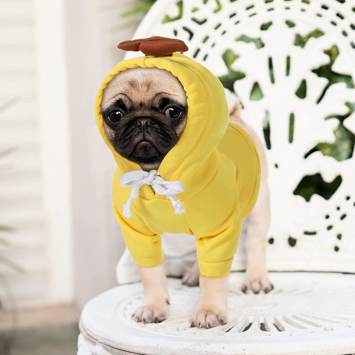 2 Pieces Fruit Dog Hoodie Clothes,Cute Dog Costume Warm Dog Sweater Cold Weather Sweatshirt Pet Coat for Puppy Small Medium Dogs Cats (Frog Style,Small) Animals & Pet Supplies > Pet Supplies > Dog Supplies > Dog Apparel Frienda   