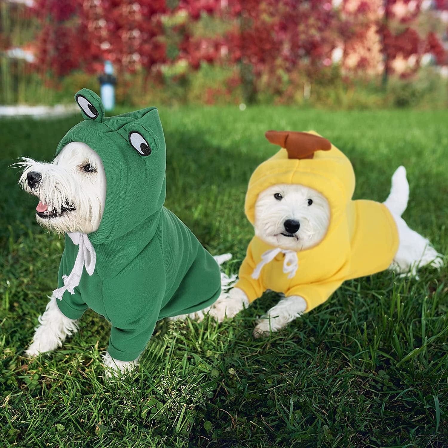 2 Pieces Fruit Dog Hoodie Clothes,Cute Dog Costume Warm Dog Sweater Cold Weather Sweatshirt Pet Coat for Puppy Small Medium Dogs Cats (Frog Style,Small) Animals & Pet Supplies > Pet Supplies > Dog Supplies > Dog Apparel Frienda   