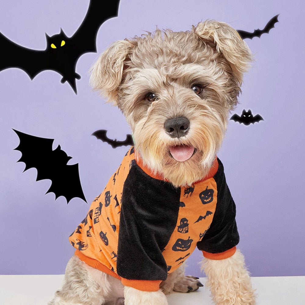 2 Pieces Halloween Dog Shirts Printed Puppy Outfits Pet Costume Cute Dog Clothing for Small Dogs and Cats Halloween Cosplay Pet Apparel Animals & Pet Supplies > Pet Supplies > Cat Supplies > Cat Apparel Kernelly   