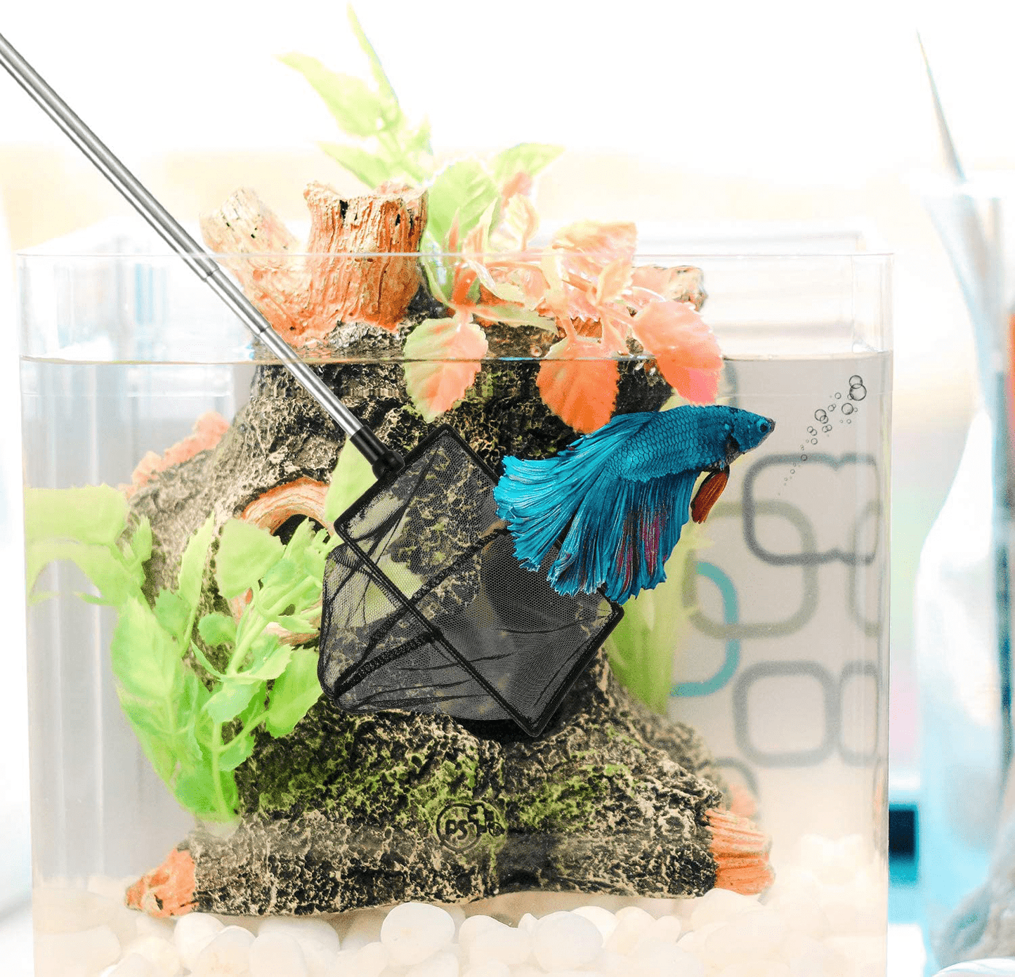 2 Pieces Mesh Fish Tank Net Aquarium Fish Net 4 Inch and 6 Inch Stainless Steel Fish Net with Extendable 12.5-27.5 Inch Long Handle Fish Catch Nets Fish Tank Aquarium Accessories Animals & Pet Supplies > Pet Supplies > Fish Supplies > Aquarium Fish Nets Sumind   