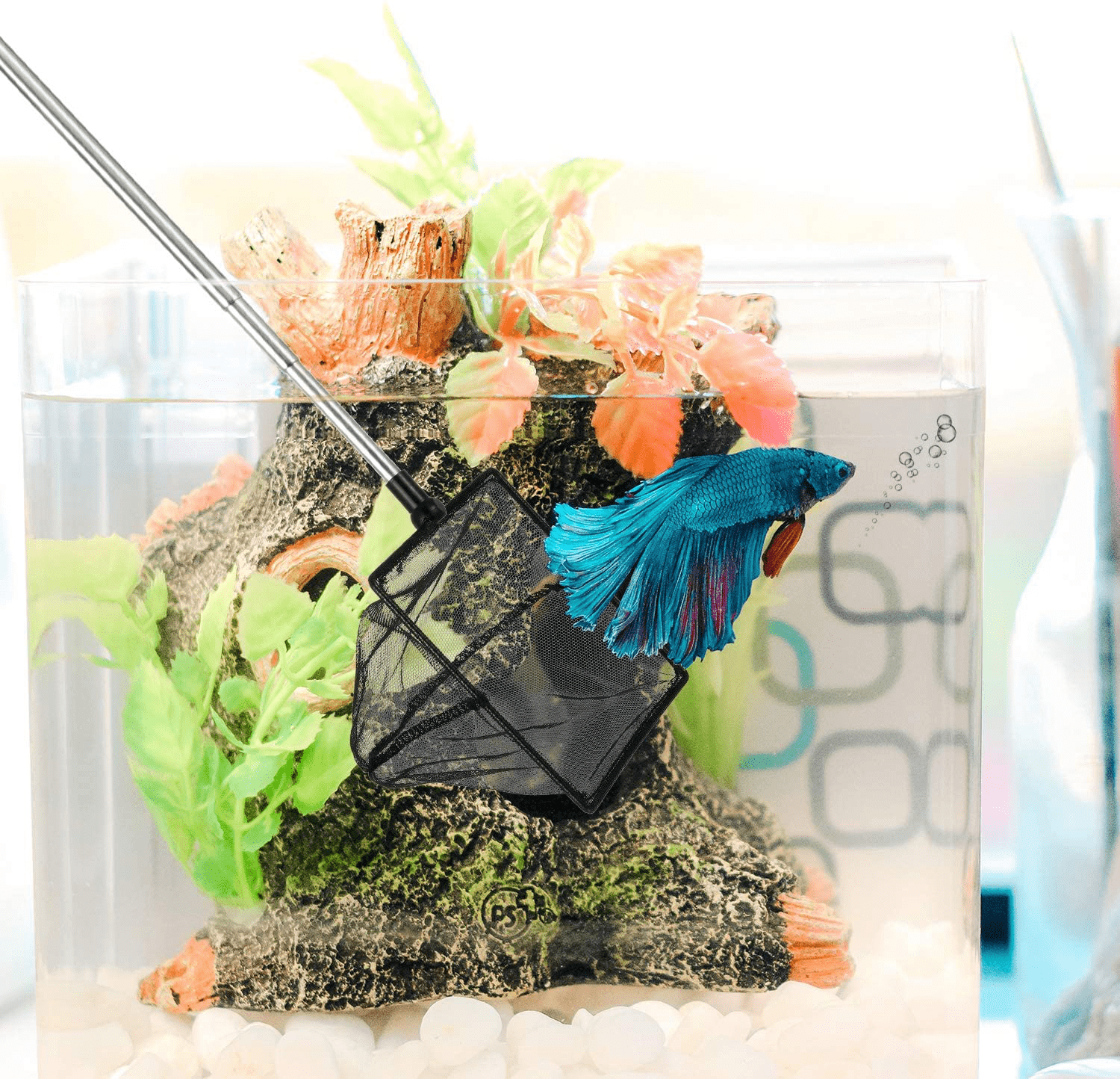2 Pieces Mesh Fish Tank Net Aquarium Fish Net 4 Inch and 6 Inch Stainl –  KOL PET