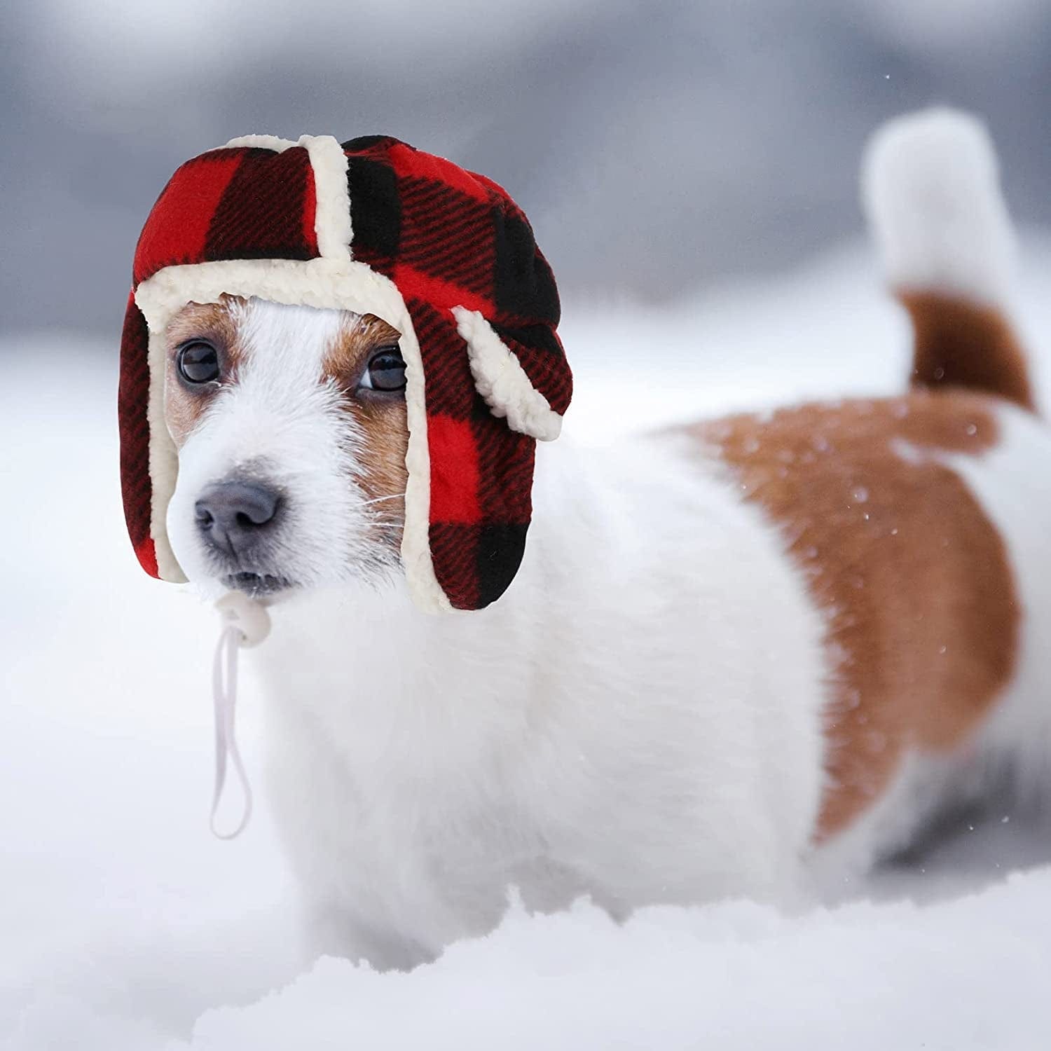 2 Pieces Plaid Dog Hats with Earmuffs Winter Pets Adjustable Warm Trapper Hat Christmas Adjustable Pet Red Plaid Pet Hat Xmas Dog Headwear for Small Dogs Animals & Pet Supplies > Pet Supplies > Dog Supplies > Dog Apparel Sherr   