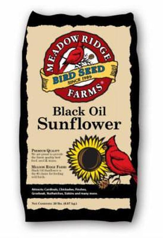 20 LB Black Oil Sunflower Bird Food Bag Only One
