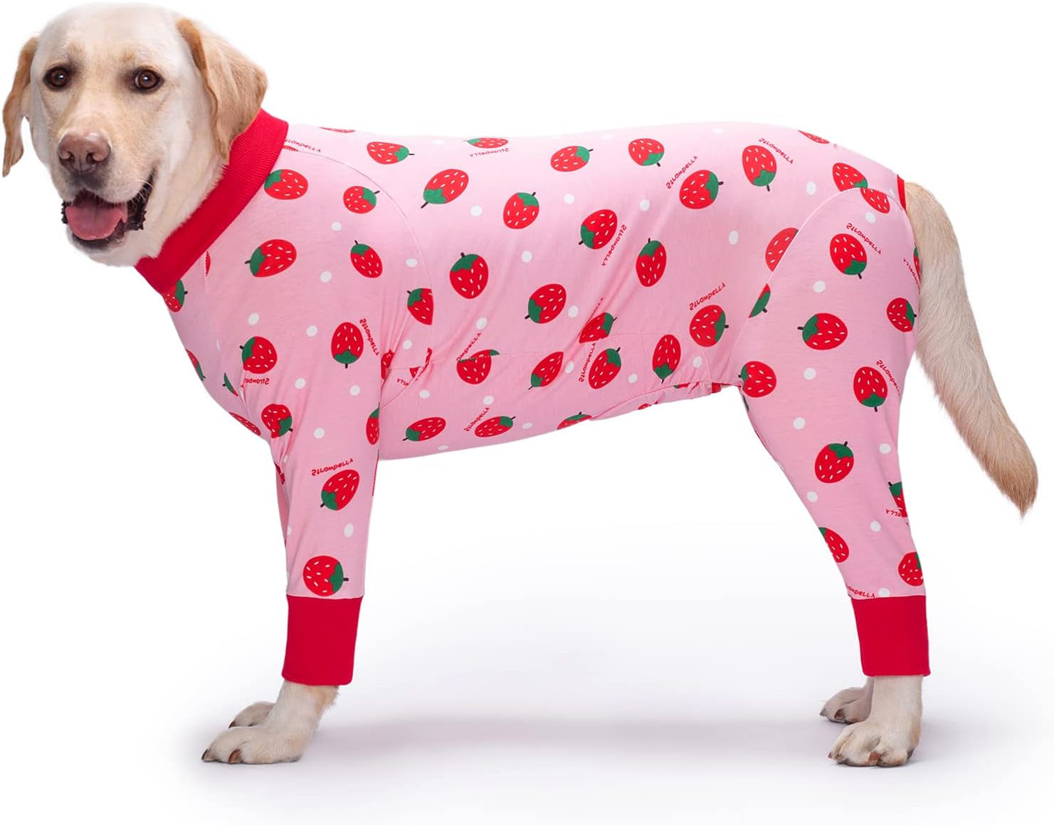 Dog Prevent Licking After Surgery Recovery Snugly Suit - China Recovery  Snugly Suit and Recovery Suit price