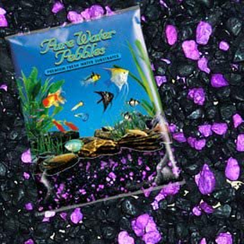 Pure Water Pebbles Aquarium Gravel, 5-Pound, Blackberry Glo Animals & Pet Supplies > Pet Supplies > Fish Supplies > Aquarium Gravel & Substrates Unite   