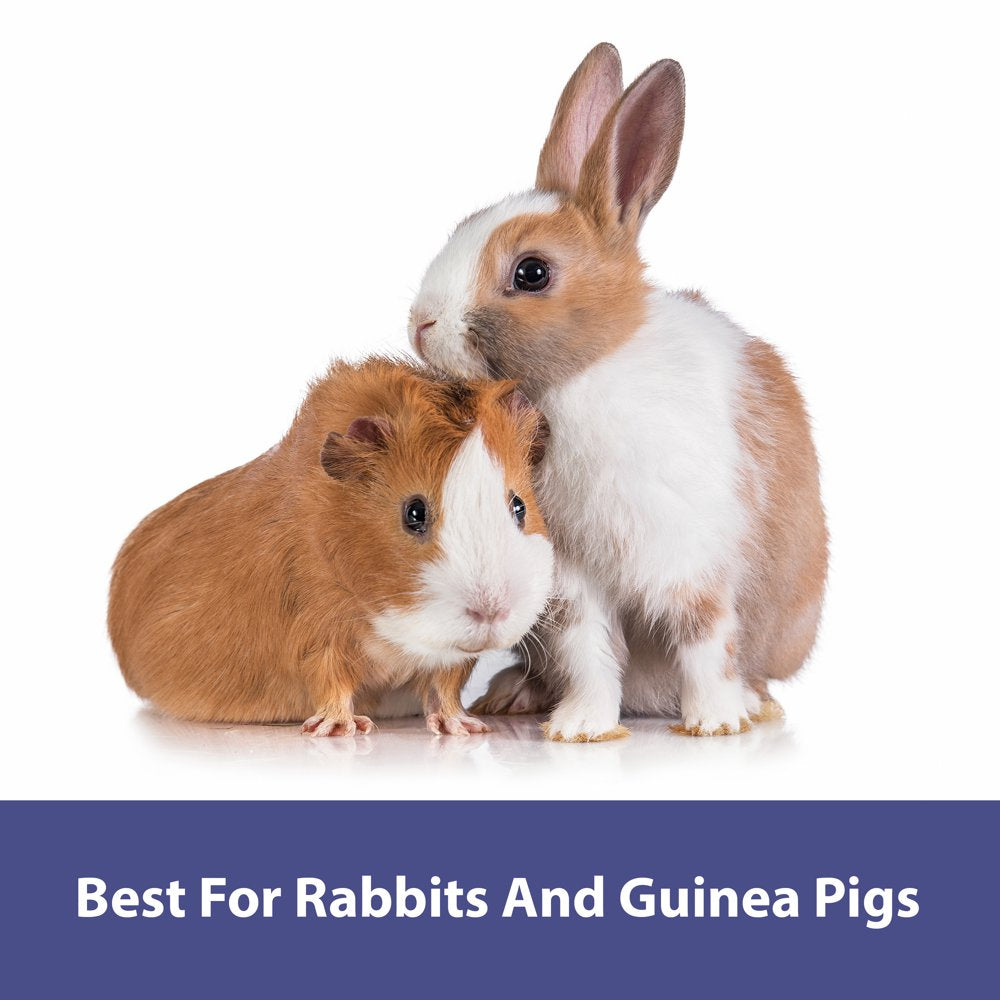 Kaytee Forti-Diet Yo Chips Rabbit/Guinea Pig Berry Flavored Treat, 3.5 Oz. Animals & Pet Supplies > Pet Supplies > Small Animal Supplies > Small Animal Food Central Garden and Pet   