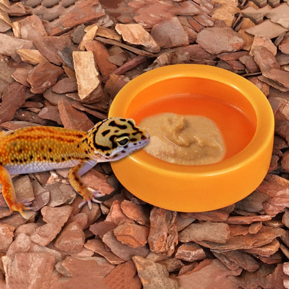 Reptile Food Bowl Lizard Gecko Food Water Dish Bearded Dragon Feeding Dish Animals & Pet Supplies > Pet Supplies > Reptile & Amphibian Supplies > Reptile & Amphibian Food JZROCKER   
