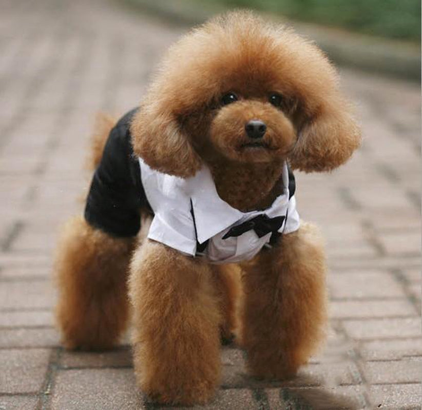 Pet Dog Tuxedo Bow Tie Wedding Suit Clothing Puppy Costumes Clothes Apparel Animals & Pet Supplies > Pet Supplies > Dog Supplies > Dog Apparel Funcee   