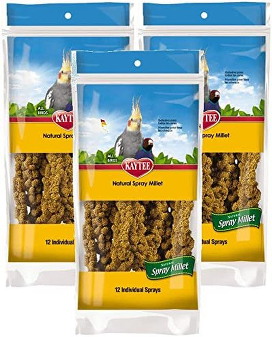 Kaytee Spray Millet for Birds (Pack of 3) Animals & Pet Supplies > Pet Supplies > Bird Supplies > Bird Treats Rehoboth Tradings LLC   