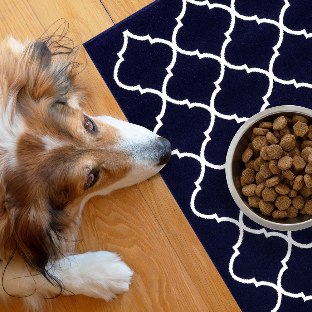 Sussexhome Pets Cat and Dog Litter Mat for Litter Box - Washable Soft Cat and Dog Feeding Mat - Paws-Kind Slip Resistant Place Mat - 2' X 3'