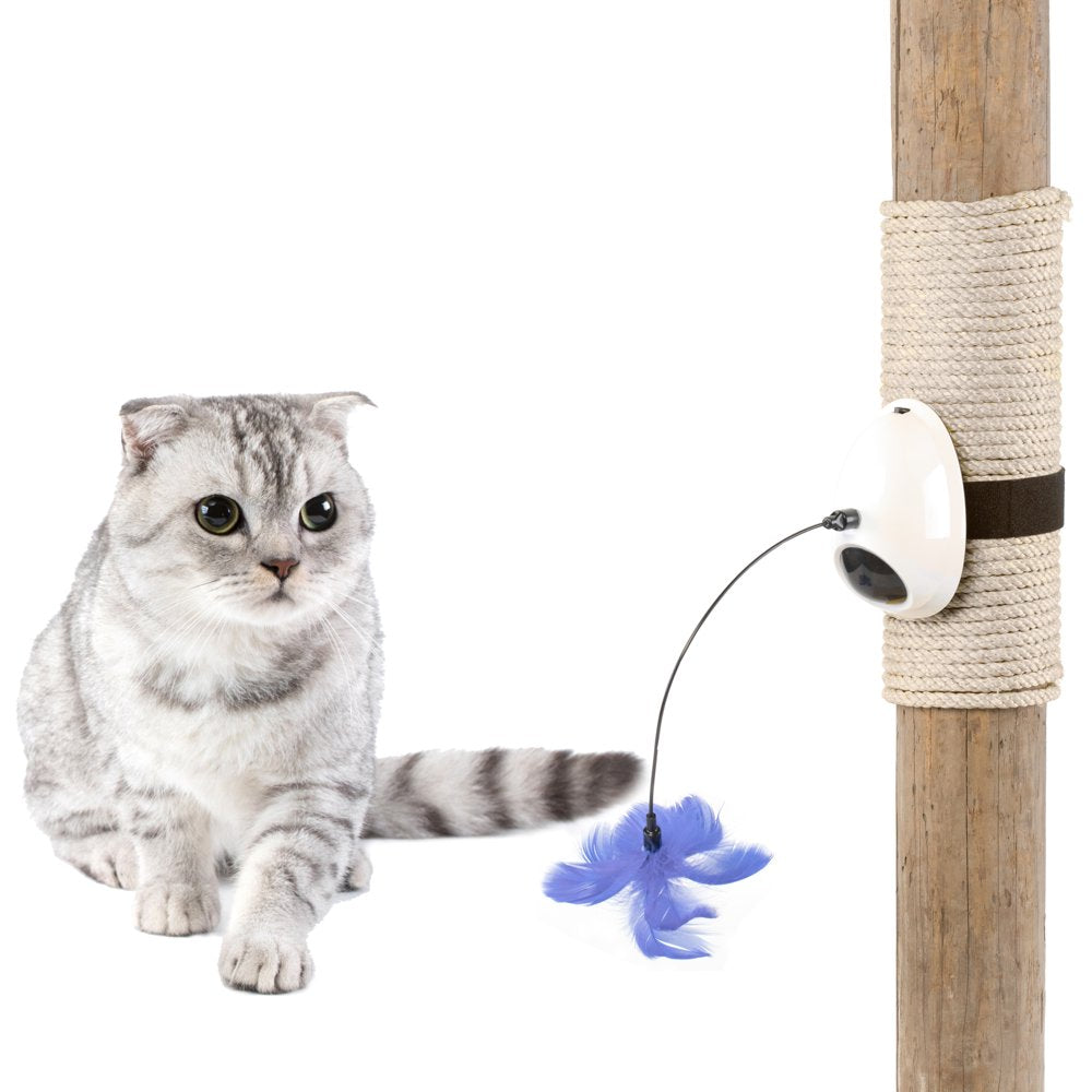 Interactive 2-In-1 Spring Feather and Laser Light Chaser Cat Toy Animals & Pet Supplies > Pet Supplies > Cat Supplies > Cat Toys Quickway Imports   