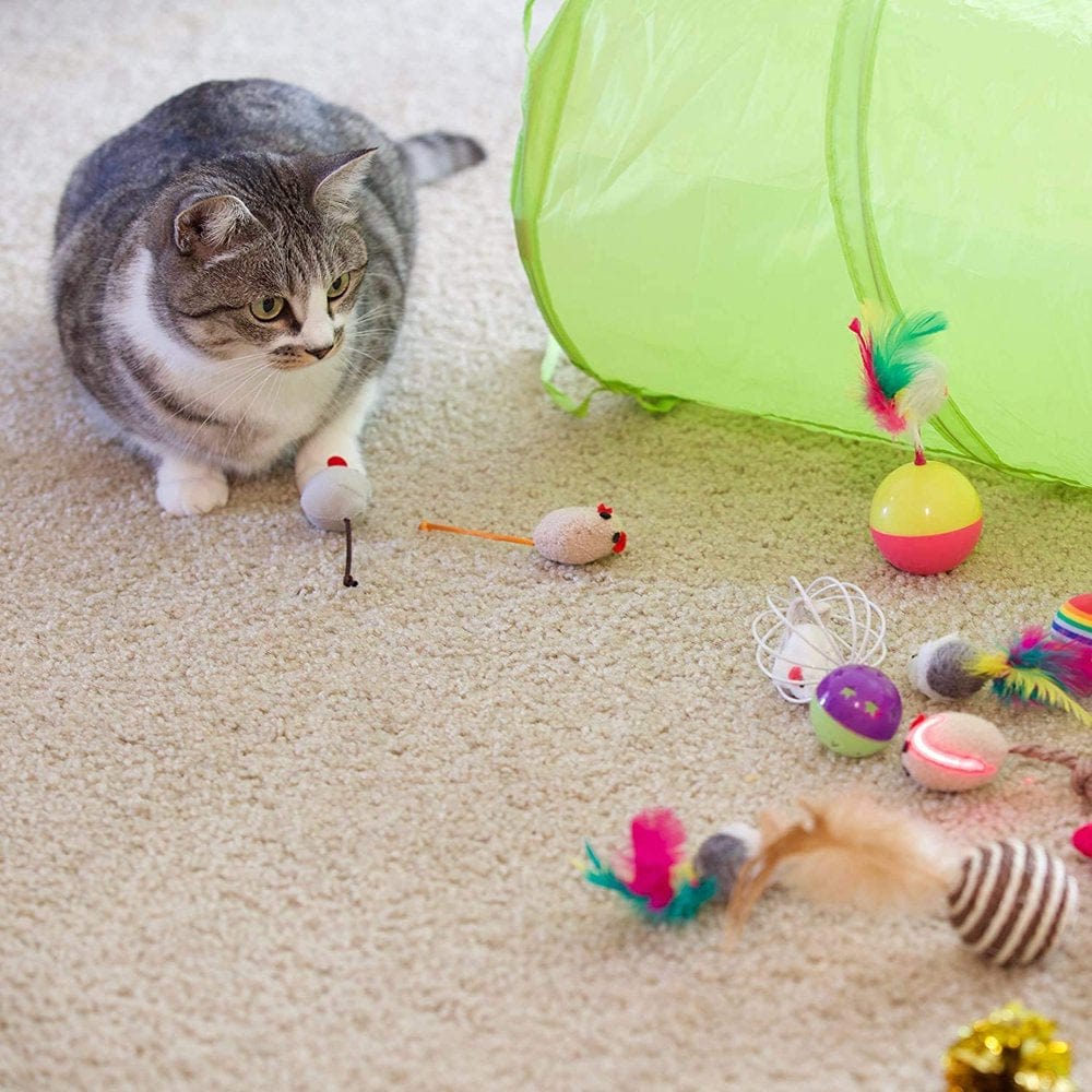 21 Pcs Cat Toys Kitten Toys Assortments, Pet Toy Set Including Way Tunnel, Interactive Cat Teaser, Fluffy Mouse, Crinkle Balls for Cat, Kitty, Kitten Animals & Pet Supplies > Pet Supplies > Cat Supplies > Cat Toys DIYAREA   