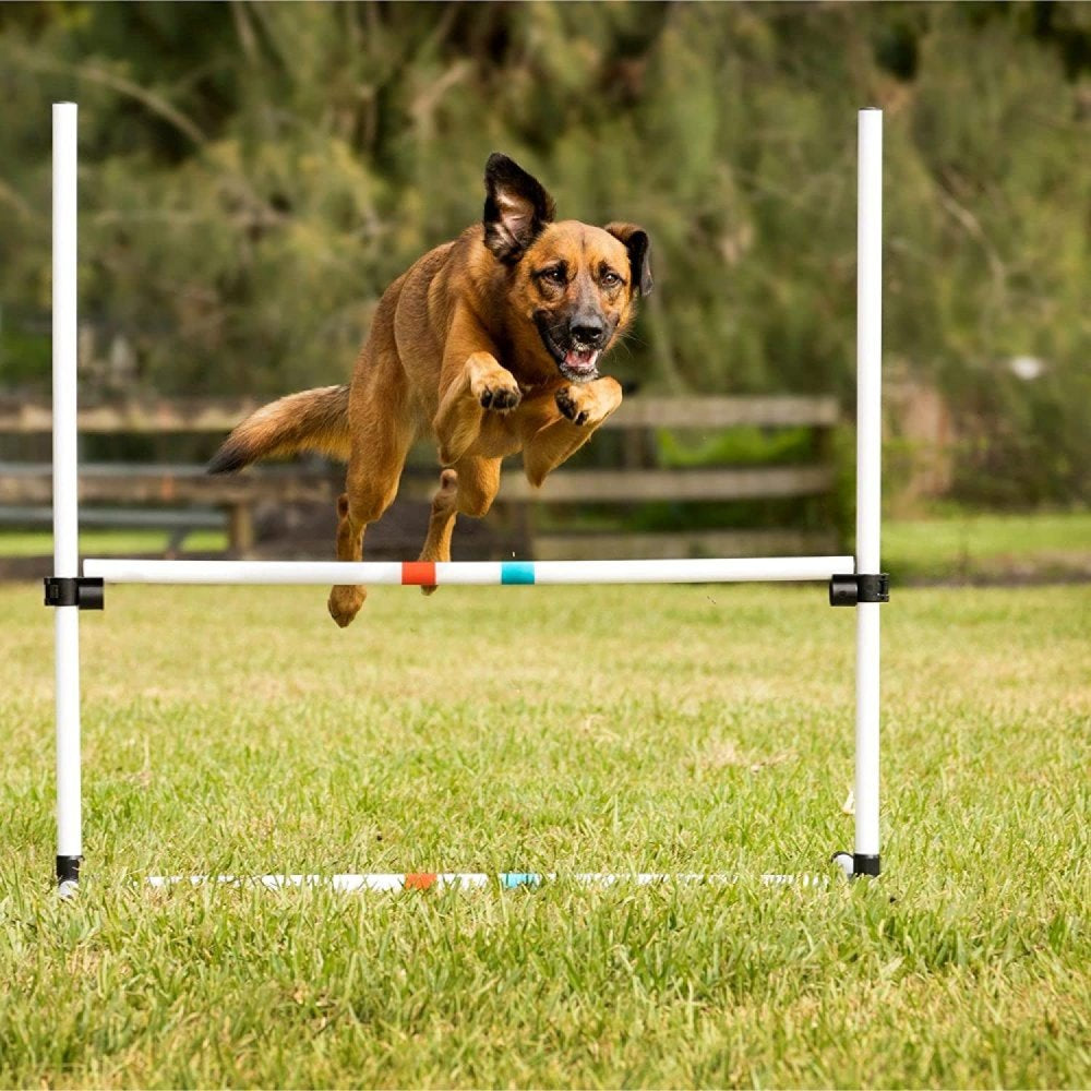 Bilot Dog Agility Bar Jump, 36 Wide. Height of Bar Is Adjustable so That Small to Large Dogs Can Jump over the Bar. Animals & Pet Supplies > Pet Supplies > Dog Supplies > Dog Treadmills Bilot   