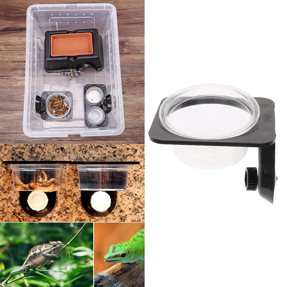 Reptile Water Dish & Food Bowl for Amphibians Gecko & Screw Fixed Animals & Pet Supplies > Pet Supplies > Reptile & Amphibian Supplies > Reptile & Amphibian Food SunniMix   