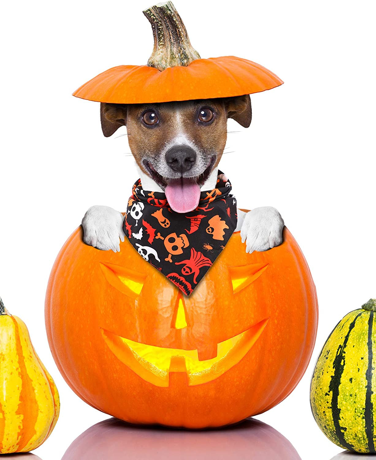 3 Pieces Halloween Dog Triangle Scarf Pet Bandanas Pumpkin Bat Ghost Drool Bibs Scarf for Pet Dog Cat Animals & Pet Supplies > Pet Supplies > Dog Supplies > Dog Apparel Frienda   