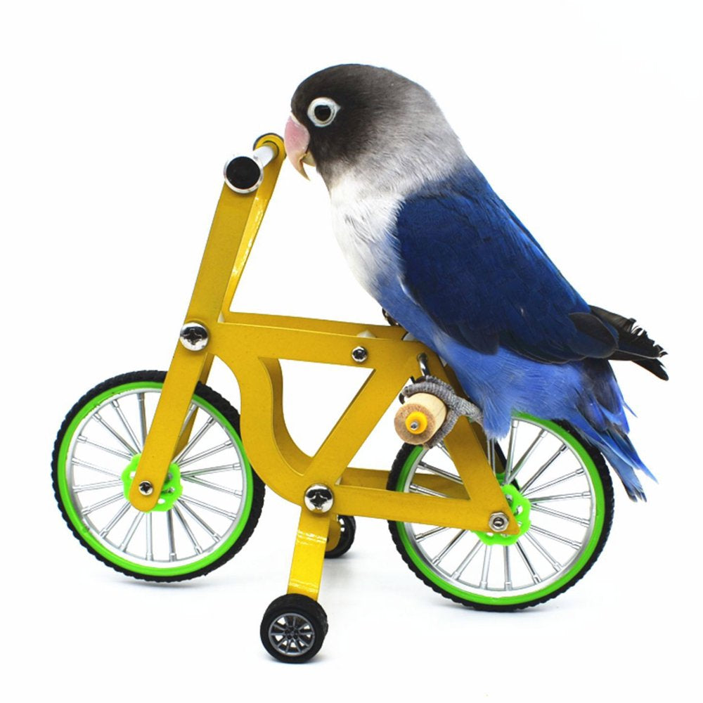 Ibaste Parrot Bicycle Toy Bird Training Intellectual Toys Supplies Animals & Pet Supplies > Pet Supplies > Bird Supplies > Bird Toys ibaste   