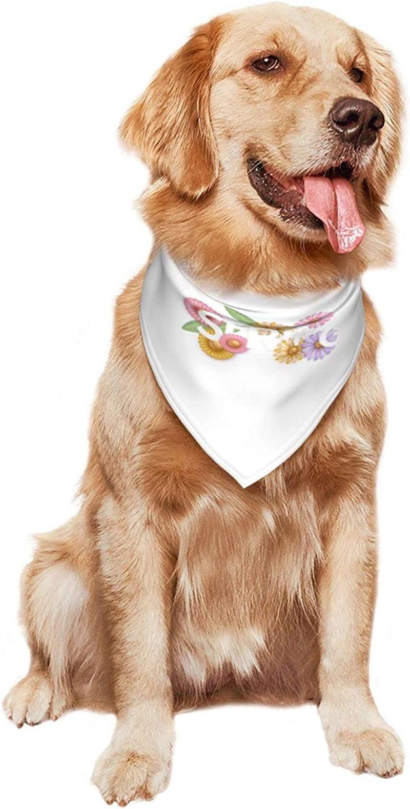 Hello Spring Colorful Flowers Floral Pet Dog and Cat Decorative Triangle Scarf,Dog Bandana,Breathable and Stain Resistant. Animals & Pet Supplies > Pet Supplies > Dog Supplies > Dog Apparel ZALTAS   