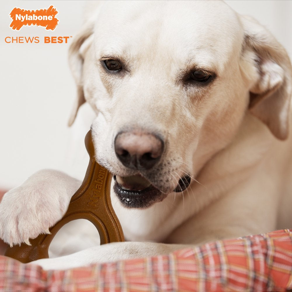 Nylabone Ergonomic Hold & Chew Wishbone Power Chew Dog Toy - up to 50 Lbs. Animals & Pet Supplies > Pet Supplies > Dog Supplies > Dog Toys Central Garden and Pet   