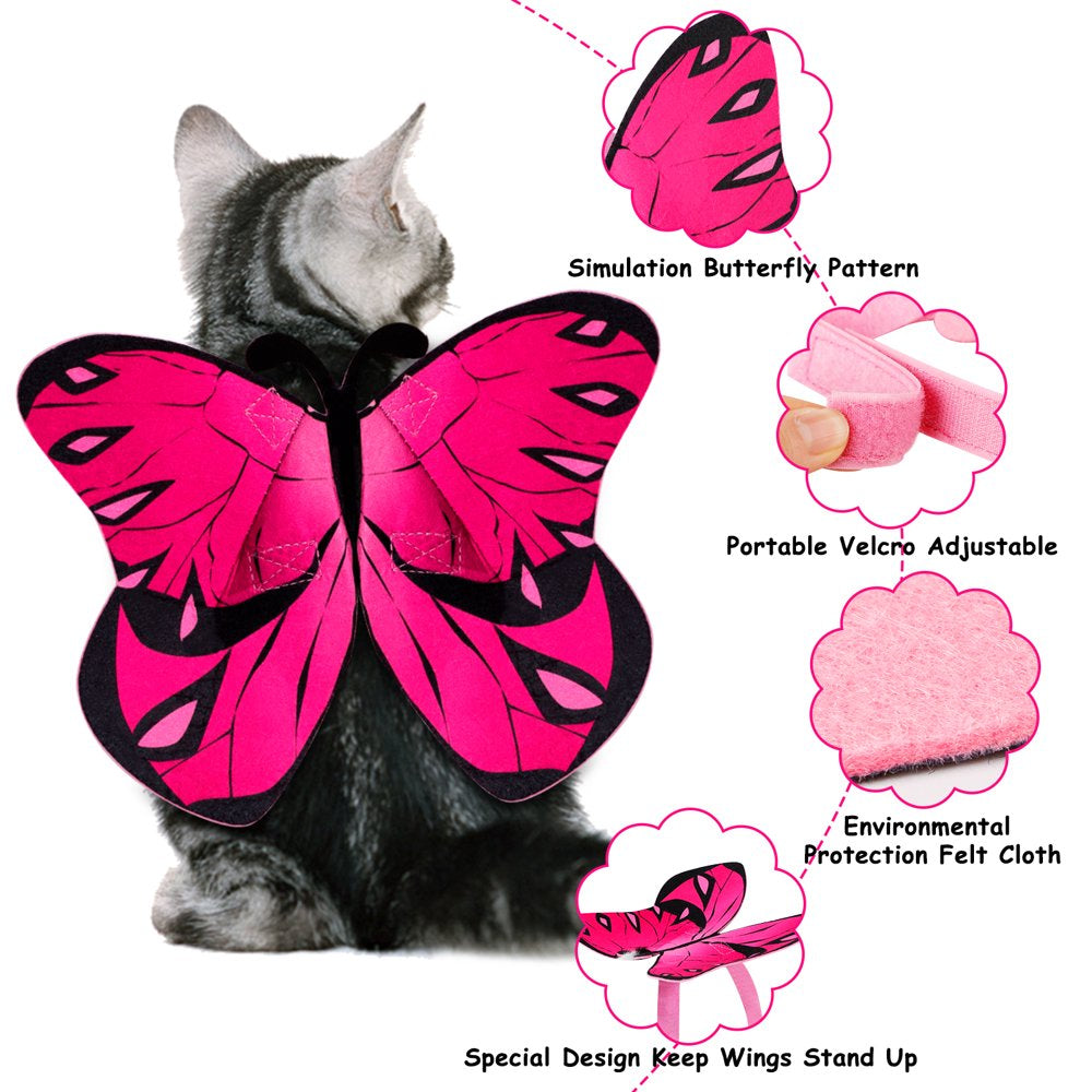 Legendog Halloween Pet Butterfly Costume Decorative Adjustable Flying Butterfly Wing Apparel with Cat Collar for Small Dogs Cats Animals & Pet Supplies > Pet Supplies > Cat Supplies > Cat Apparel Legendog   