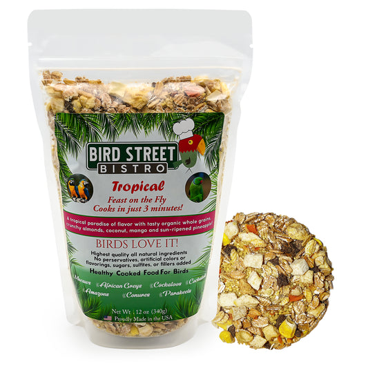 Tropical Feast on the Fly Bird Street Bistro Natural Parrot Food Animals & Pet Supplies > Pet Supplies > Bird Supplies > Bird Food Bird Street Bistro   