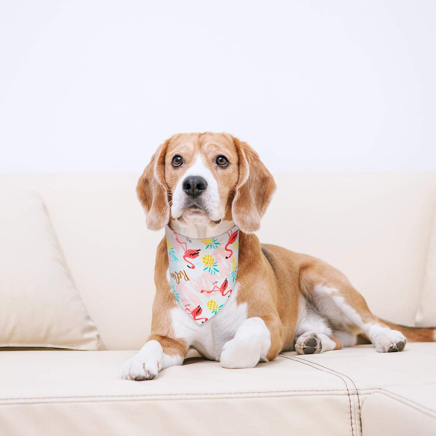 6 Pieces Summer Triangle Dog Bandana Hawaii Dog Bandana Flamingo Triangle Pet Bibs Reversible Dog Scarf Adjustable Washable Pet Kerchief Animals & Pet Supplies > Pet Supplies > Dog Supplies > Dog Apparel Frienda   