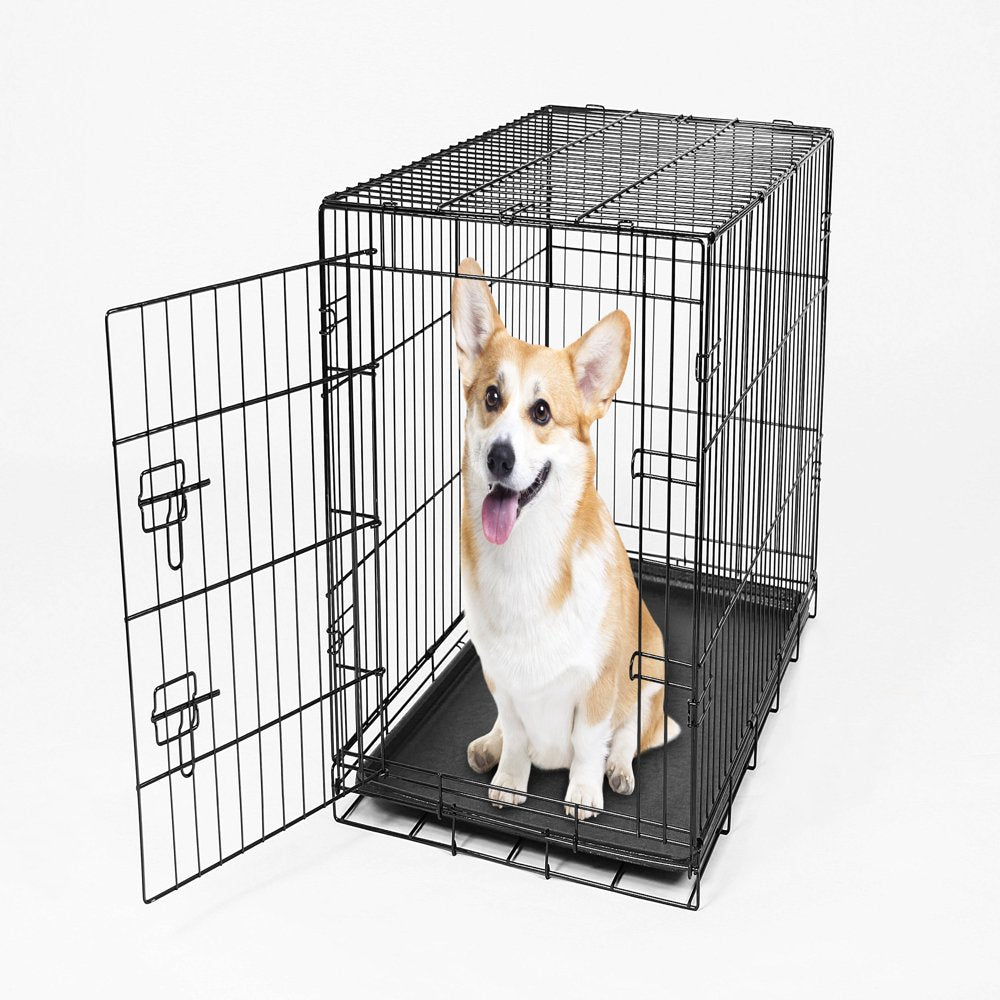 Carlson Pet Products Single Door Pet Crate, Black, Medium, 36"L Animals & Pet Supplies > Pet Supplies > Dog Supplies > Dog Kennels & Runs Carlson Pet Products 30"L  