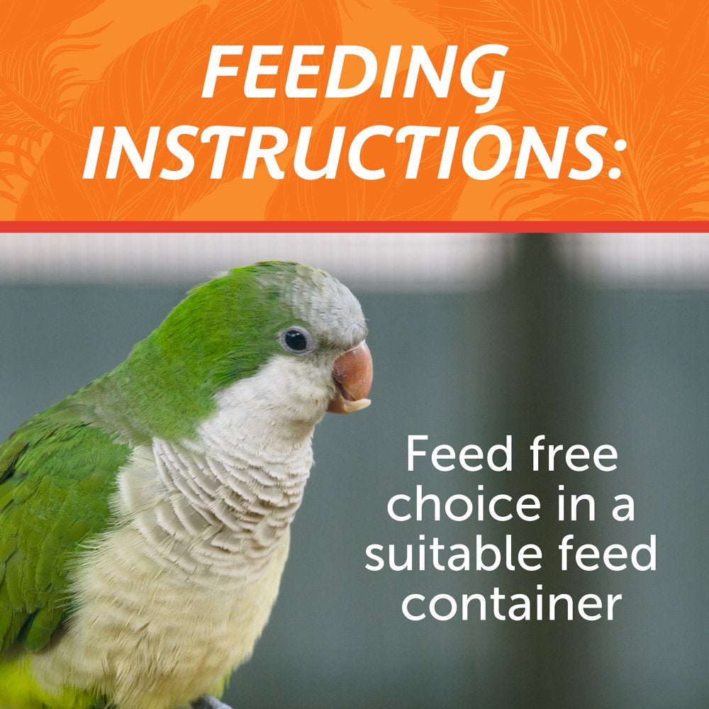 Pennington Medium Bird Blend Bird Food for Cockatiels, Love Birds; 3 Lb Bag Animals & Pet Supplies > Pet Supplies > Bird Supplies > Bird Food D & D Commodities   