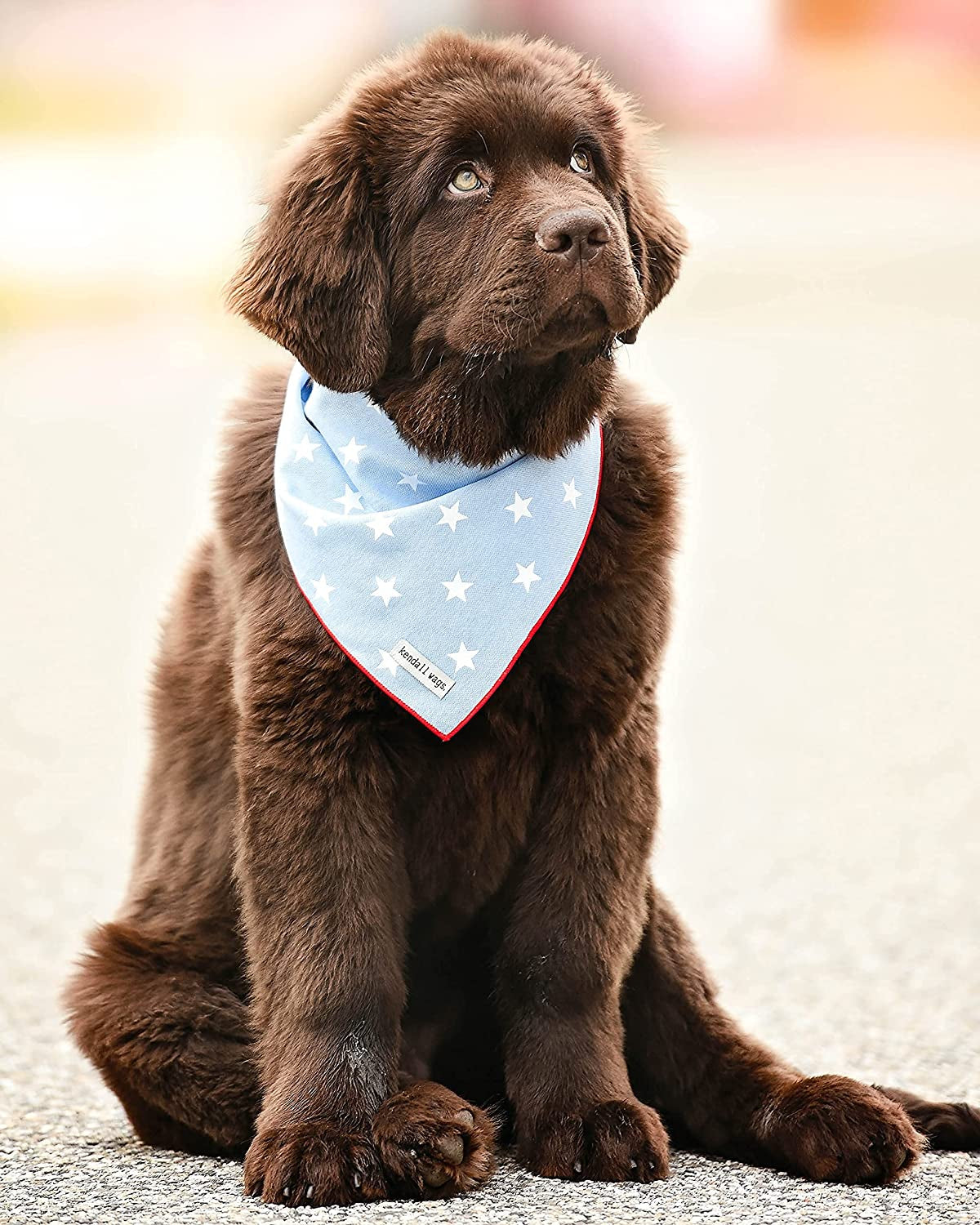 Kendall Wags Summer Nautical Dog Bandanas Pet Scarf Accessories for Large Medium Small Dogs - 4Th of July Animals & Pet Supplies > Pet Supplies > Dog Supplies > Dog Apparel Kendall Wags   