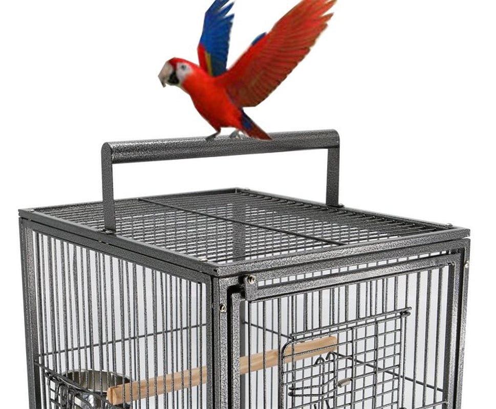 22-Inch Portable Heavy Duty Travel Veterinary Parrot Bird Carrier Play Stand Perch Cage Feeding Bowl Stand with Handle and Accessories Animals & Pet Supplies > Pet Supplies > Bird Supplies > Bird Cage Accessories Mcage   