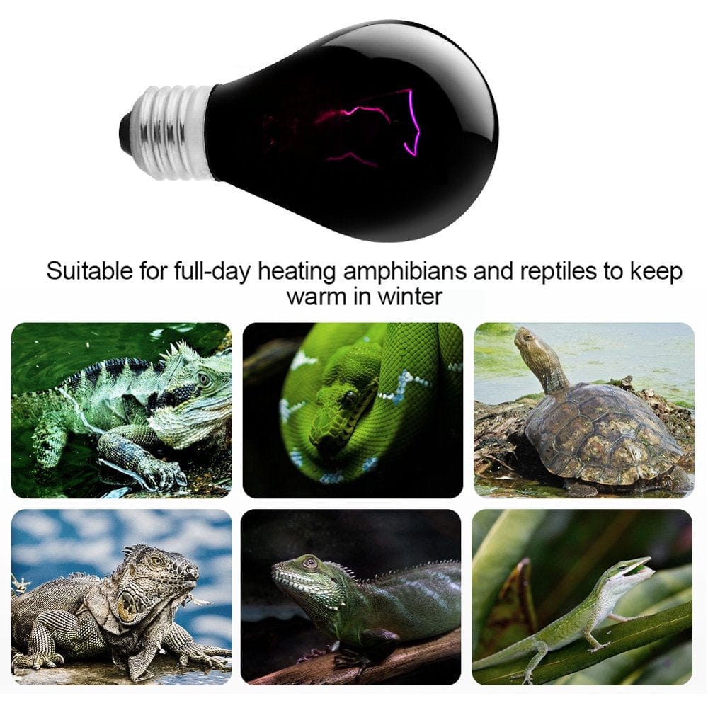 220-230V Night Heat Light Lamp Heating Bulb for Reptile Pet Amphibian (100W) Animals & Pet Supplies > Pet Supplies > Reptile & Amphibian Supplies > Reptile & Amphibian Habitat Heating & Lighting Fyydes   