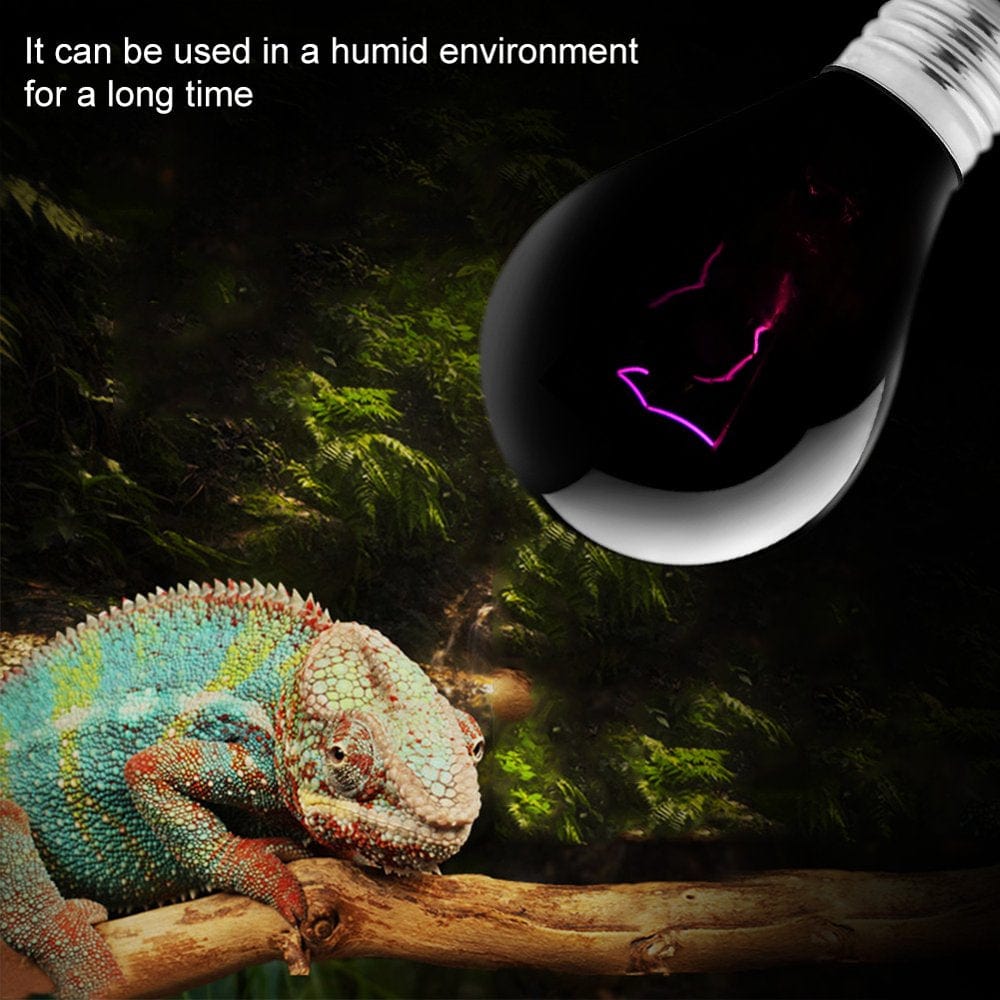 220-230V Night Heat Light Lamp Heating Bulb for Reptile Pet Amphibian (100W) Animals & Pet Supplies > Pet Supplies > Reptile & Amphibian Supplies > Reptile & Amphibian Habitat Heating & Lighting LYUMO   