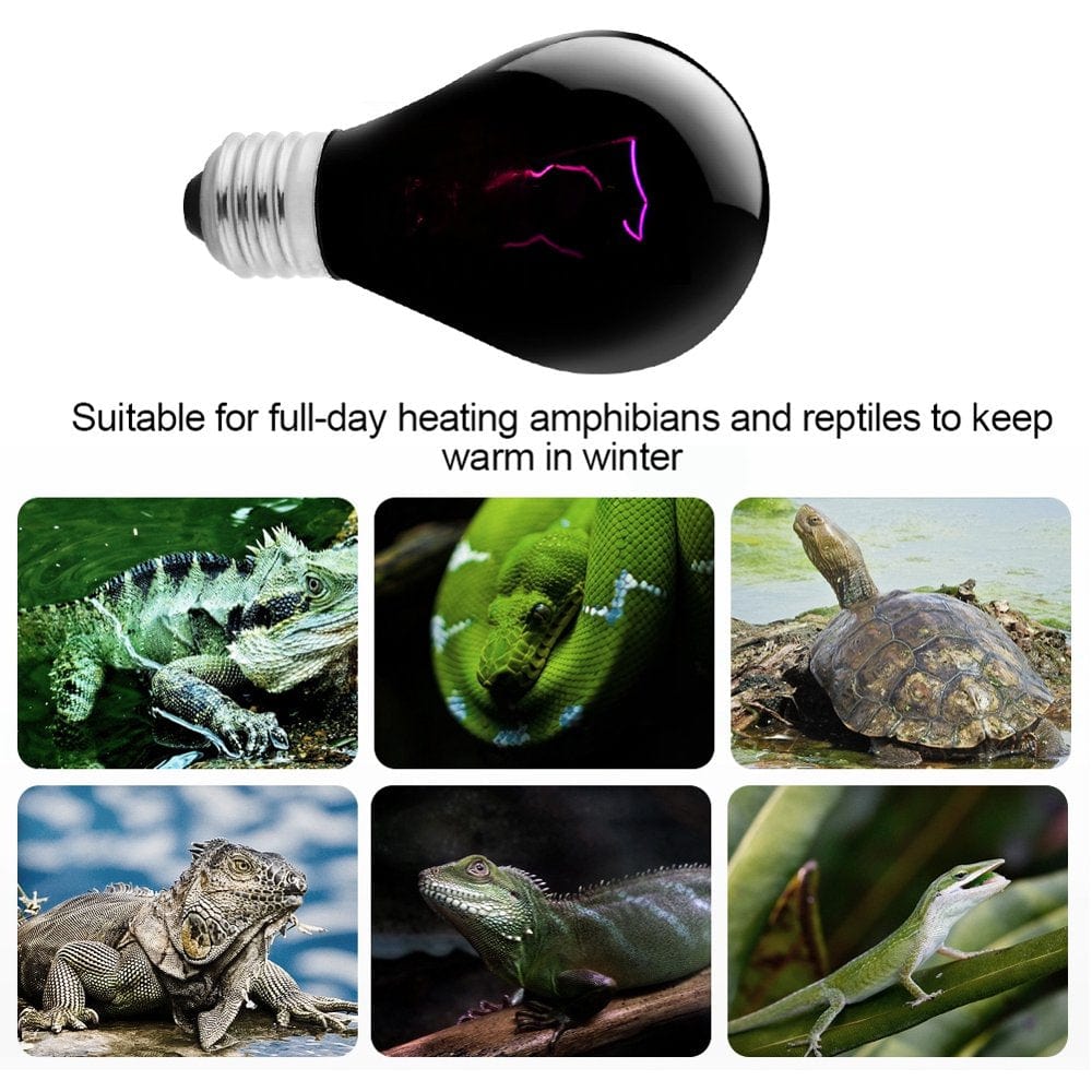 220-230V Night Heat Light Lamp Heating Bulb for Reptile Pet Amphibian (100W) Animals & Pet Supplies > Pet Supplies > Reptile & Amphibian Supplies > Reptile & Amphibian Habitat Heating & Lighting LYUMO   