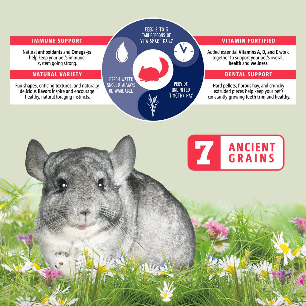Vitakraft Vita Smart Chinchilla Food - Vitamin-Fortified Complete Nutrition - Natural Forage Blend - Timothy Hay Pellets for Chinchillas Animals & Pet Supplies > Pet Supplies > Small Animal Supplies > Small Animal Food Vitakraft Sunseed   
