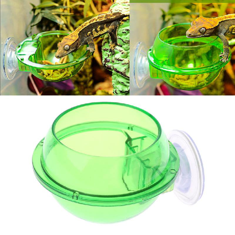 Reptile Feeder Anti-Escape Amphibians Drinker Bowl Worm Feeding Basin with Suction Cup Plastic Bowl for Chameleon Iguana Animals & Pet Supplies > Pet Supplies > Reptile & Amphibian Supplies > Reptile & Amphibian Food CHANCELAND   