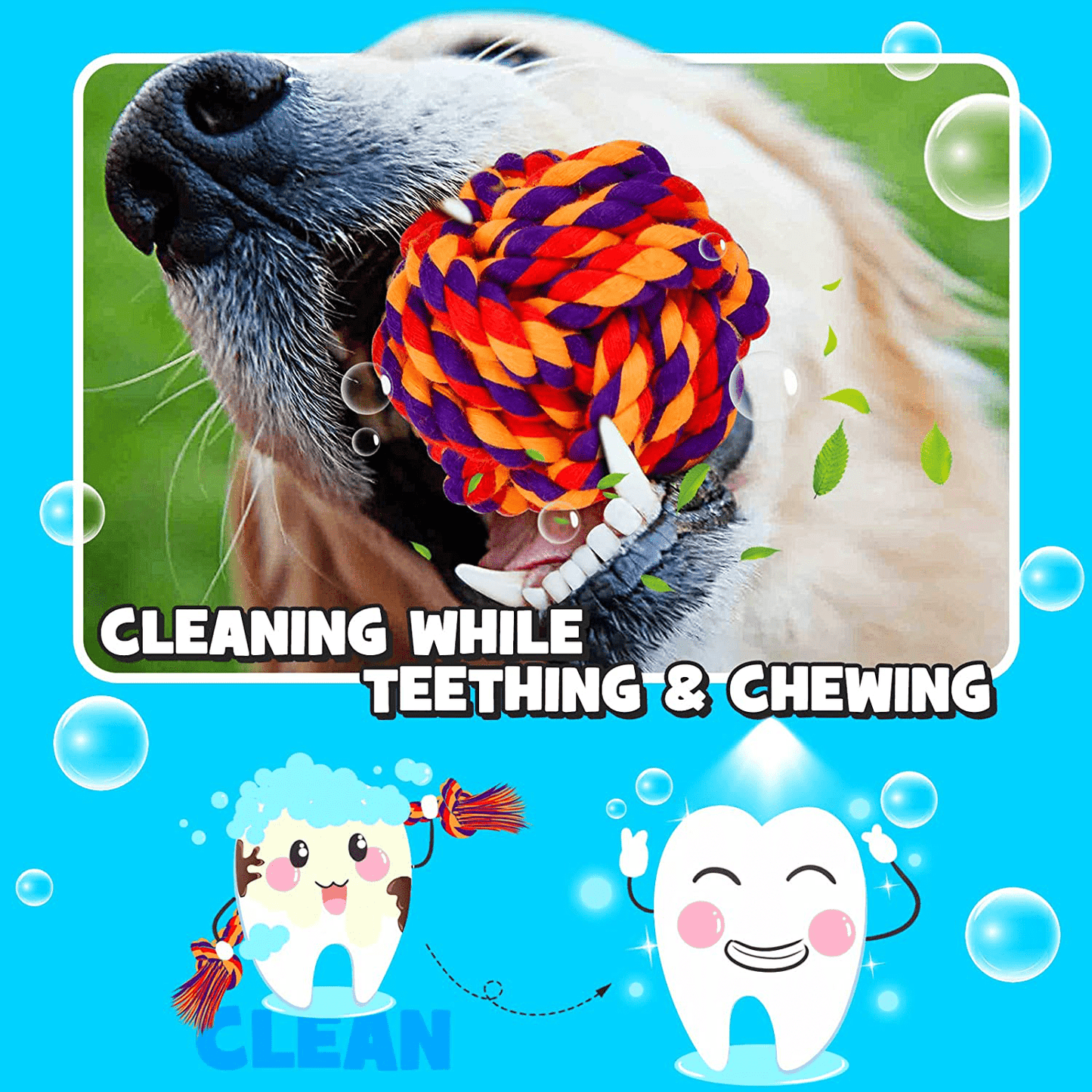 23 Pack Dog Chew Toys for Puppies Durable Dog Toys for Aggressive Chewers Small Dog Pet Toys Bulk Puppy Teething Chew Toys Cotton Rope Interactive Dog Toys Set Birthday Christmas Luxury Gift Box Animals & Pet Supplies > Pet Supplies > Dog Supplies > Dog Toys LEGEND SANDY   