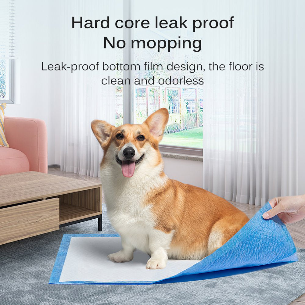 Puppy Potty Training Pet Pads Dog Diaper Disposable Super Absorbent an –  KOL PET