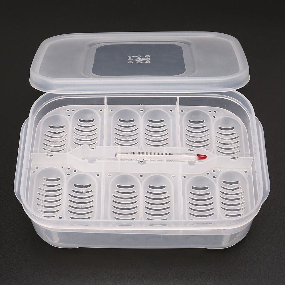 Amphibians Hatchery Box with Thermometer Reptile Breeding Box Wide Application Incubation Box for Hatching