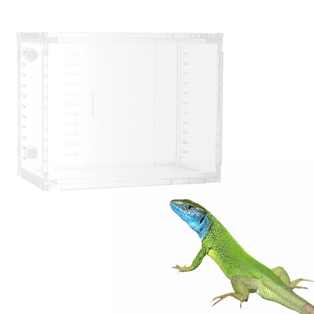 Reptile Terrarium Amphibian Habitat for Houses Acrylic Box Clear