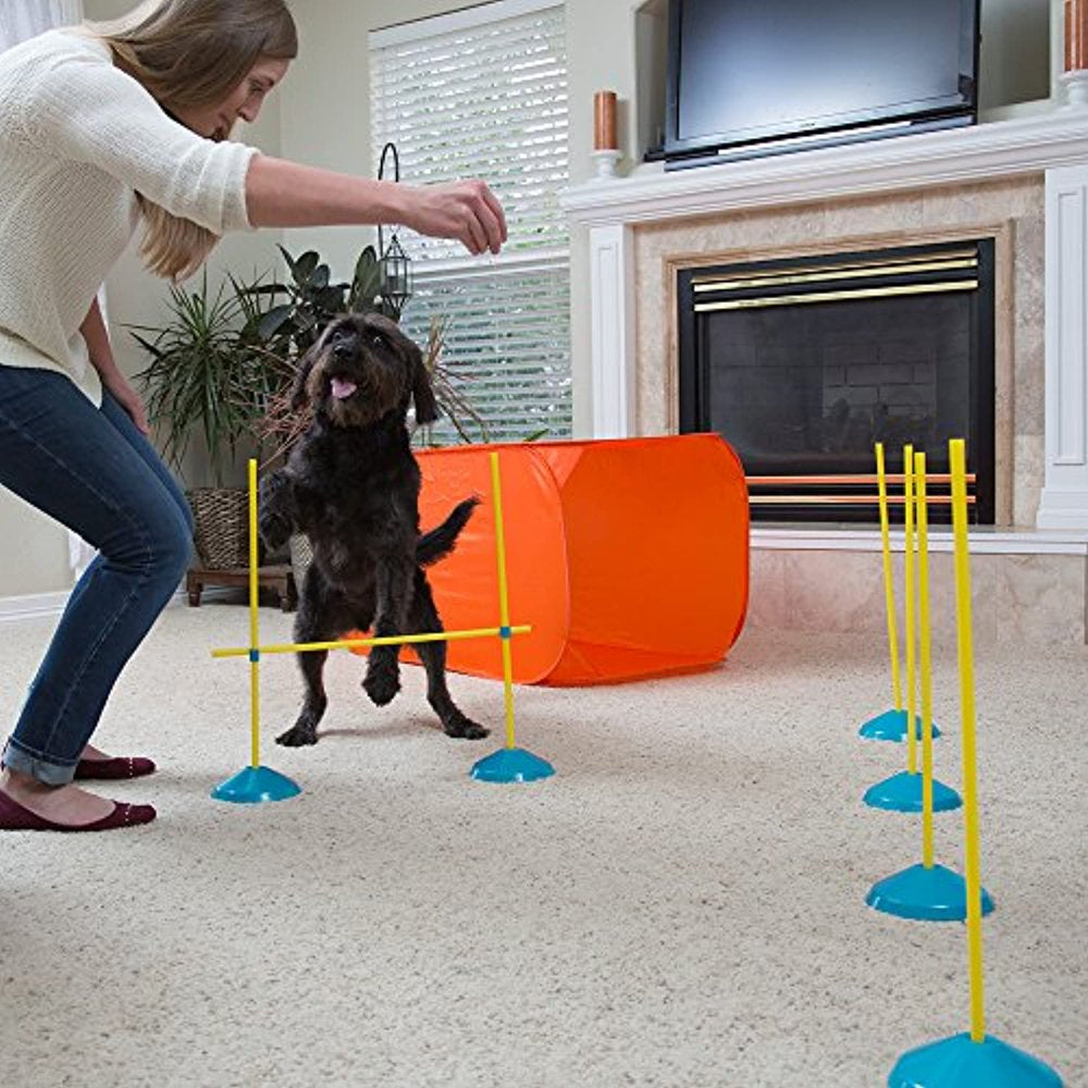 Outward Hound Dog Agility Starter Kit Indoor Animals & Pet Supplies > Pet Supplies > Dog Supplies > Dog Treadmills Outward Hound   