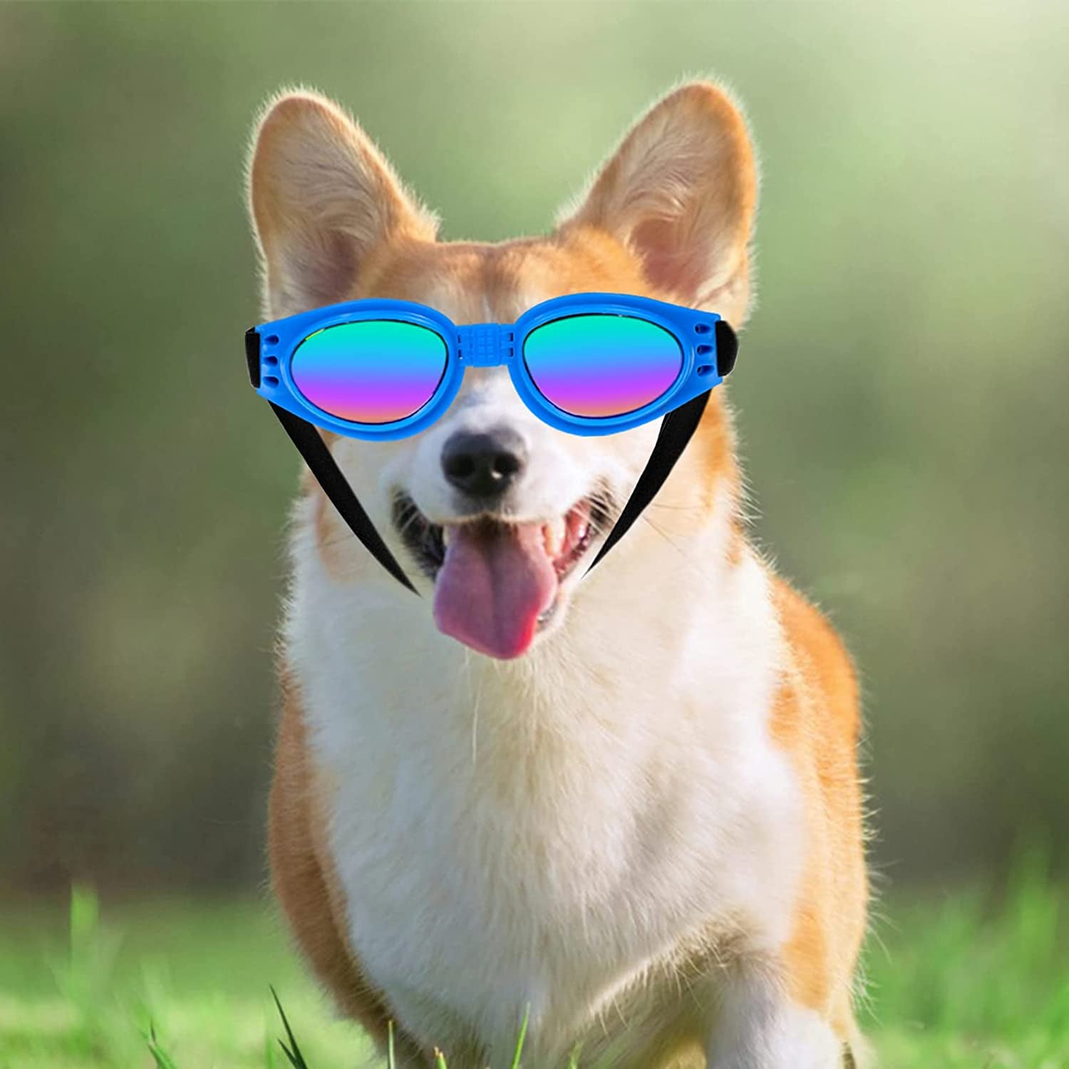 Dog Goggles, Stylish Cool Dog Sunglasses, Adjustable Waterproof Windproof UV Protection Dog Glasses, for Car Travel Swim Animals & Pet Supplies > Pet Supplies > Dog Supplies > Dog Apparel BLLREMIPSUR   