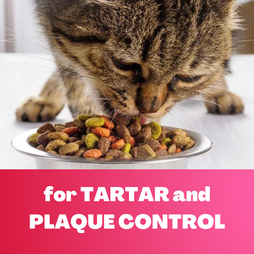 Pounce Crunchy Tuna Flavored Cat Treats for Tartar and Plaque Control - 2 Pack Animals & Pet Supplies > Pet Supplies > Cat Supplies > Cat Treats EBKK   