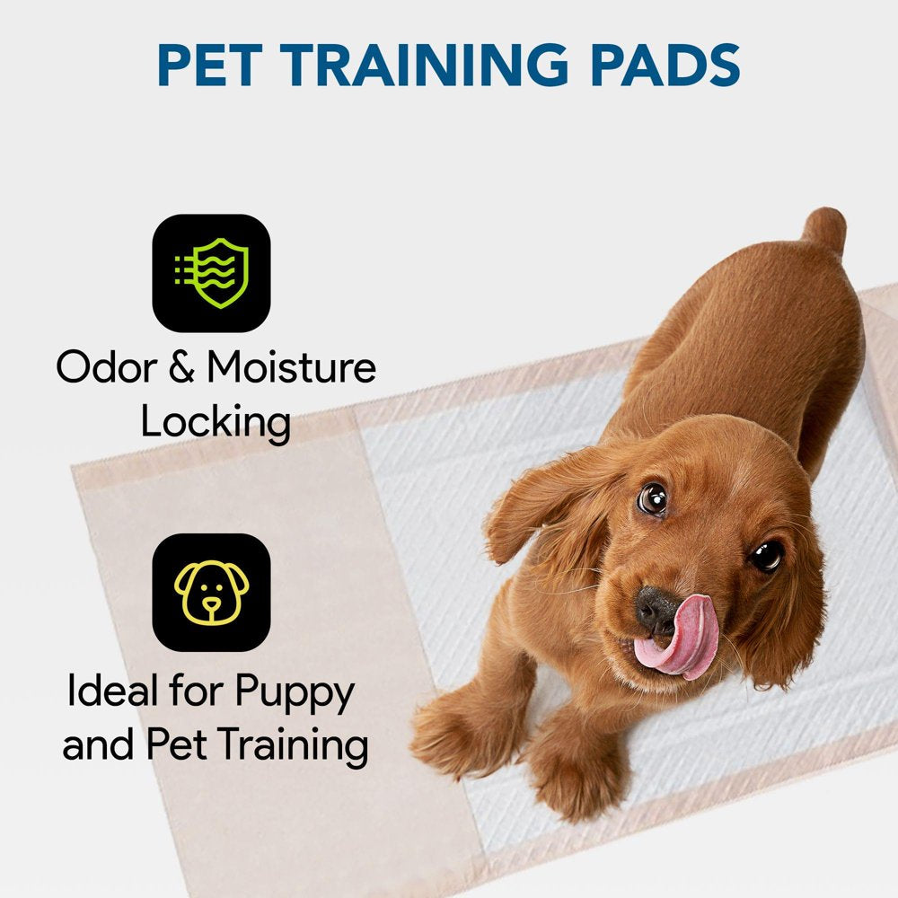 Proheal Disposable Heavy Absorbent Tuckable Underpads (96 Pack) 36" X 70" (31X31 Pad) Animals & Pet Supplies > Pet Supplies > Dog Supplies > Dog Diaper Pads & Liners ProHeal   