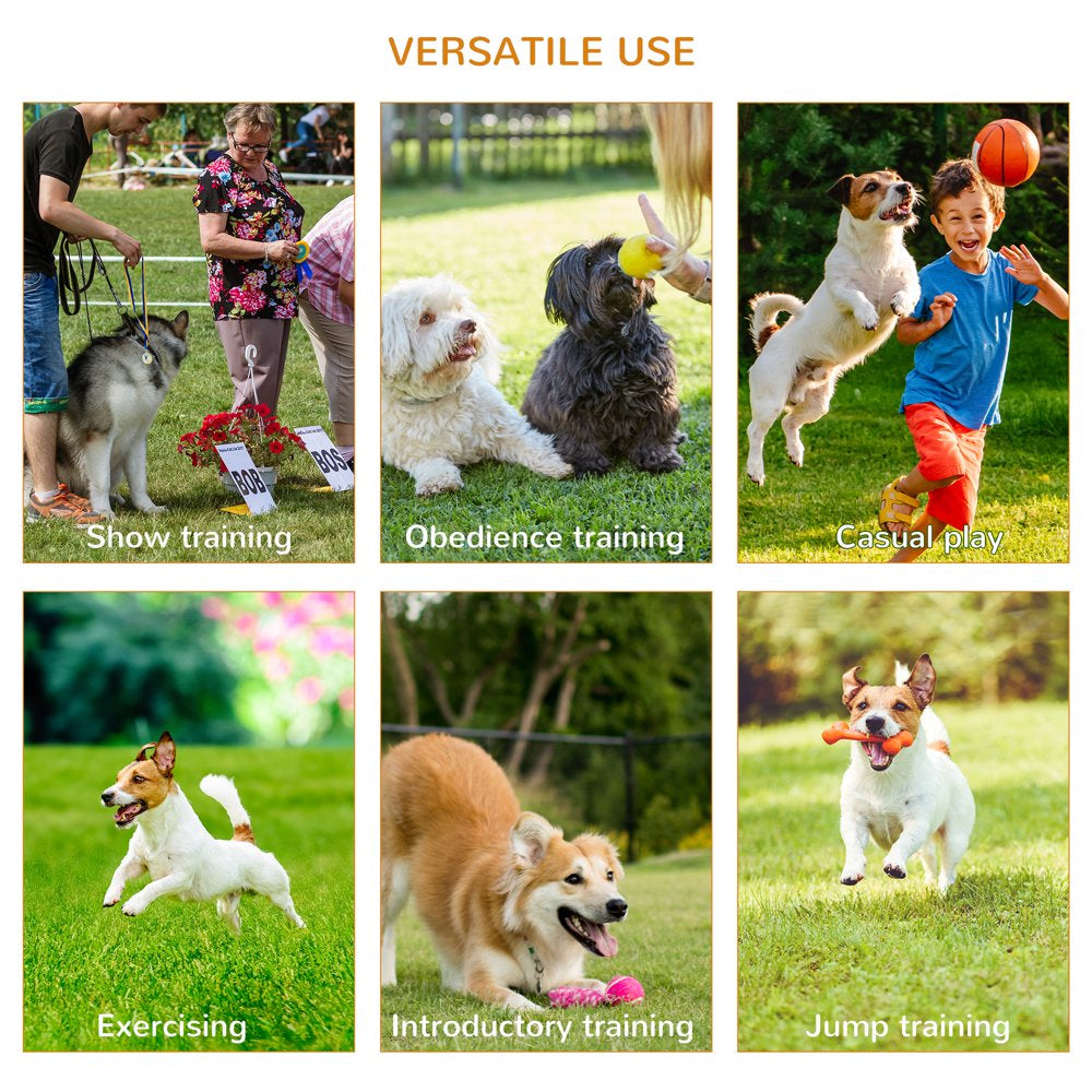 Outdoor 3 Piece Dog Pet Agility Training Equipment Backyard Starter Course Set
