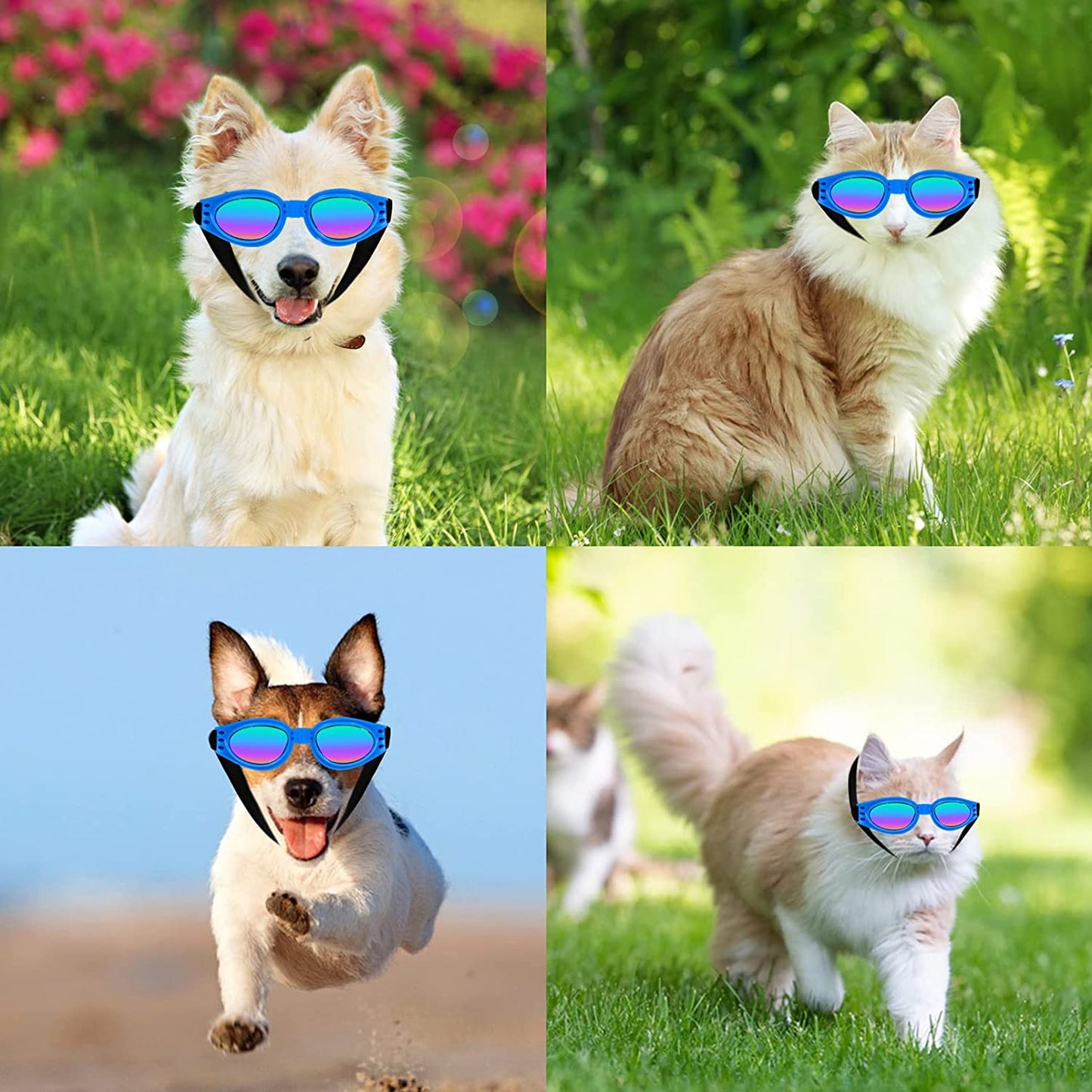 Dog Goggles, Stylish Cool Dog Sunglasses, Adjustable Waterproof Windproof UV Protection Dog Glasses, for Car Travel Swim Animals & Pet Supplies > Pet Supplies > Dog Supplies > Dog Apparel BLLREMIPSUR   