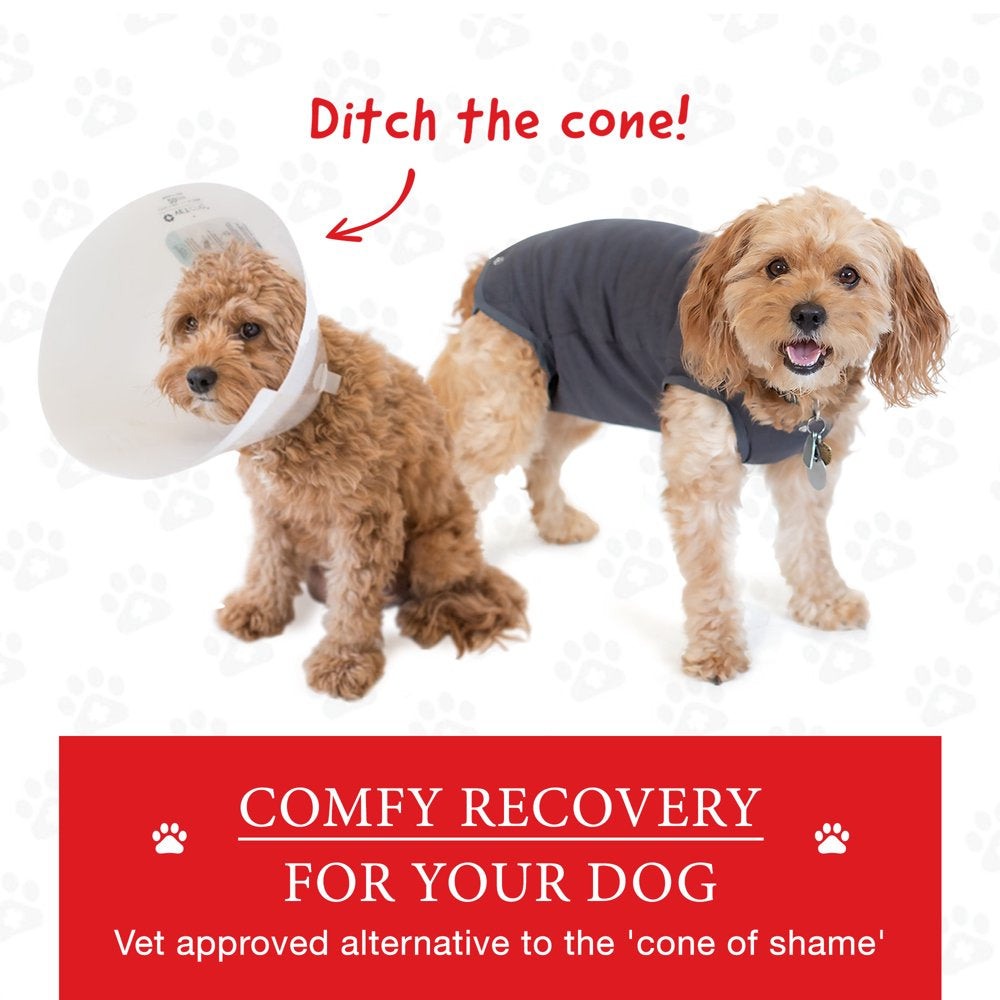 Dog Recovery Suit Body Suit after Surgery Dog Onesie Cone Alternatives –  KOL PET