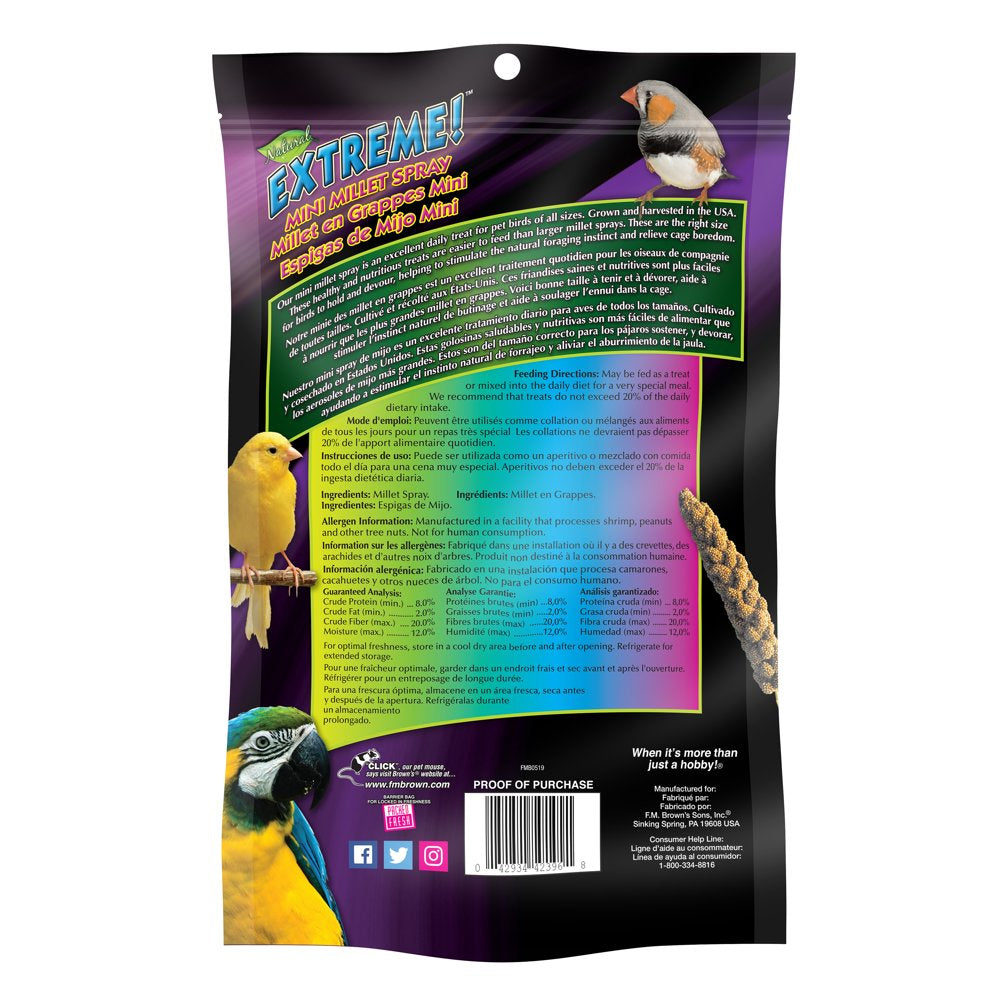 FM Browns Millet Cockatiel Bird Treats, 8 Oz. Bag Animals & Pet Supplies > Pet Supplies > Small Animal Supplies > Small Animal Food F.M. Brown's Sons, Inc.   